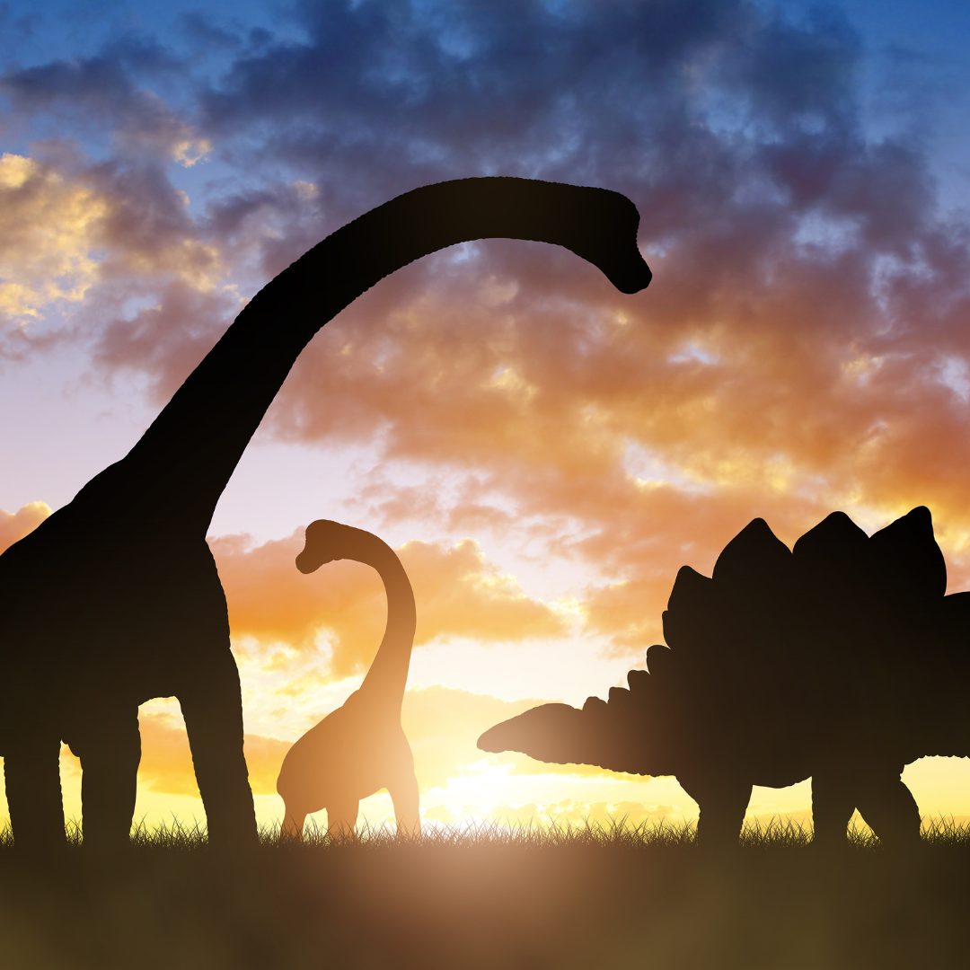 Dinosaurios